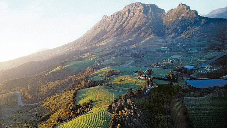 Südafrikanische Postkarten-Idylle: Rebhänge ob Stellenbosch.