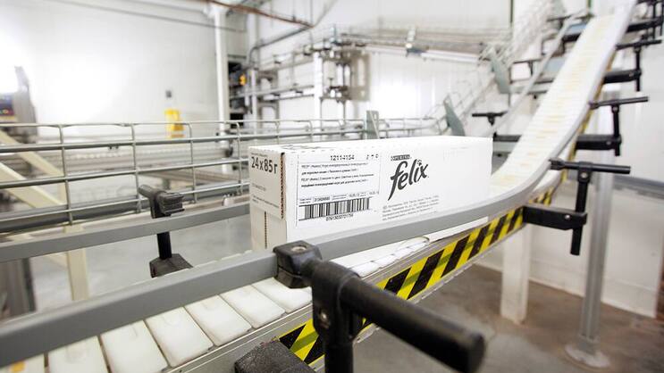 Katzenfutter: 11 Milliarden Franken erzielte Nestlé 2015 mit Tiernahrung. Nestlé/Flickr