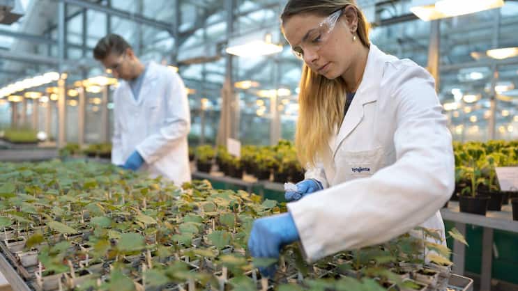 Mitarbeitende bei Syngenta aargauischen Stein: Die Erfolgsgeschichten in China beginnen in den hiesigen Forschungslabors des Chemiekonzerns.