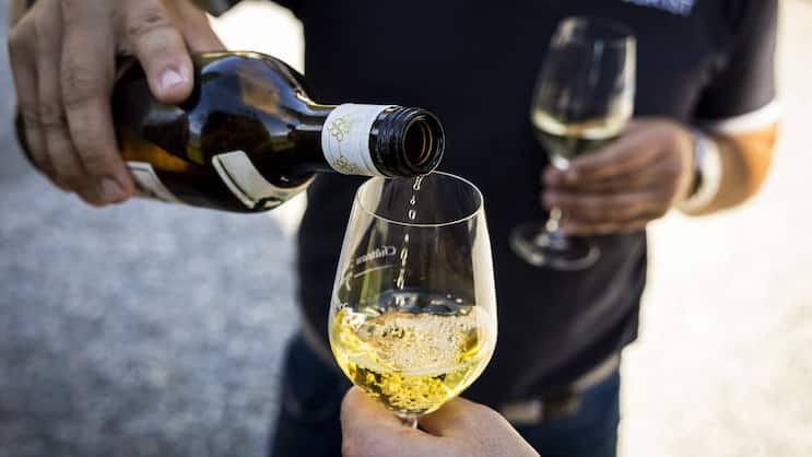 Ist das tägliche Glas Wein wirklich so gefährlich?