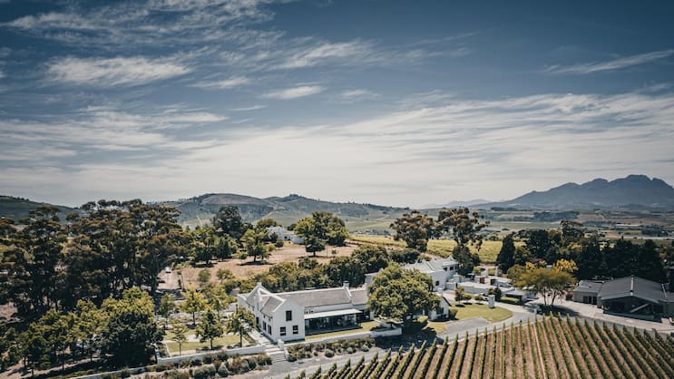 An der False Bay entstehen stilvoll-authentische Weine mit Charakter – wie geschaffen für genussvolle Momente