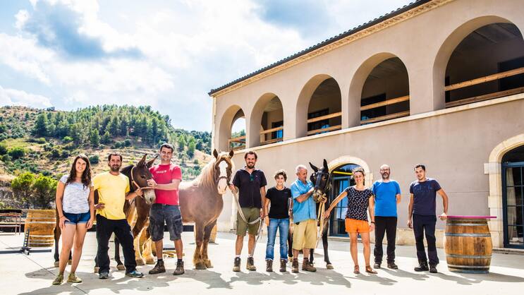 Ursprünglich: Das Team von Bodega Mas Alta verrichtet viele Arbeiten von Hand – oder mithilfe von Pferden und Maultieren.