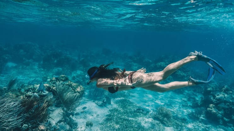 Mit Taucherbrille und Schnorchel entdecken: Das Belize Barrier Reef erstreckt sich entlang der Küste von Belize.