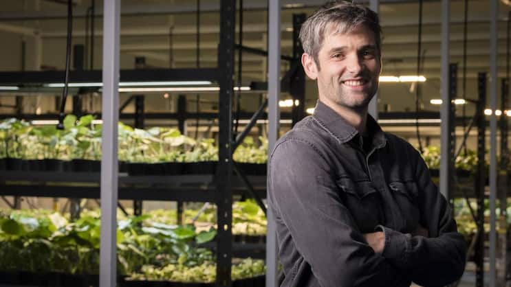 Feey-CEO und -Mitgründer Sven Jakelj ist in Gesprächen mit grossen Detailhändlern in der Schweiz. Sie sind an lokal produzierten Zimmerpflanzen interessiert.