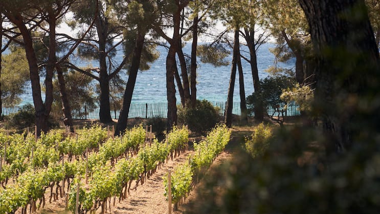 Domaines Ott Clos Mireille