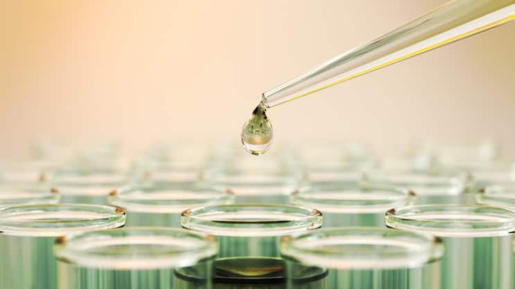 Biotech-Aktien entwickeln sich weiterhin überdurchschnittlich gut, selbst nach der Rallye im letzten Jahr.