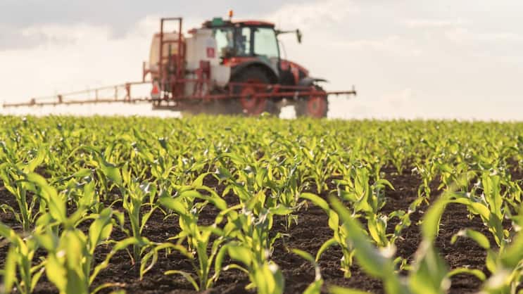 Der Finanzriese verwaltet Anlagen im Wert von 1,4 Billionen Dollar. Bei Farmland-Assets ist Nuveen die weltweite Nummer eins.