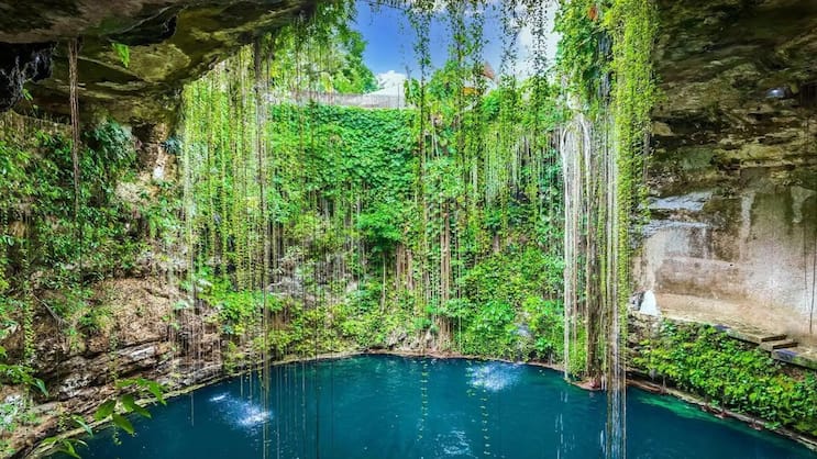 Baden wie in einem Filmset: Karsthöhle Cenote Ik Kil in Yucatáns Norden.