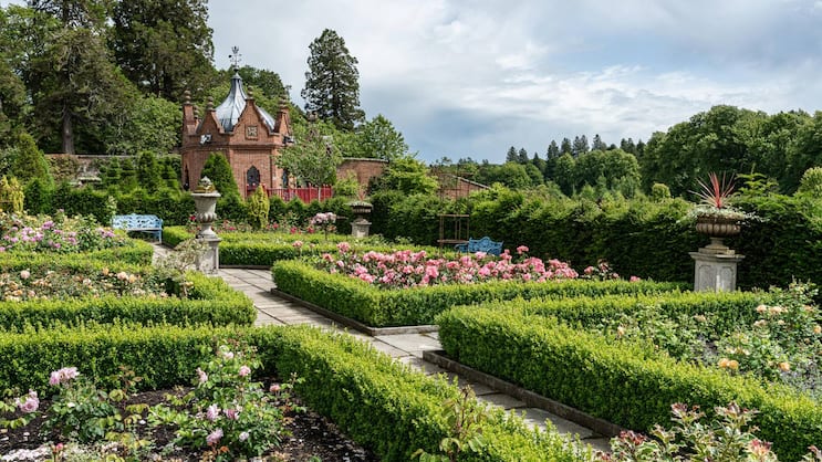 Der Rosengarten innerhalb des «Queen Elizabeth Walled Garden» des Dumfries House – heute «Van Cleef & Arpels Rose Garden» genannt.
