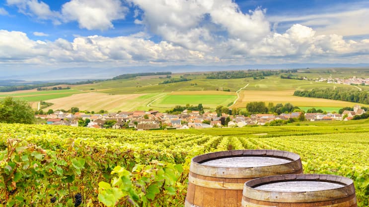 Weinberge der Champagne: Die Region ist bekannt für ein Produkt, hat aber mehr zu bieten.