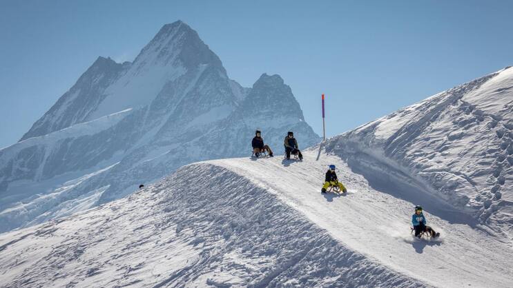 In Grindelwald befindet sich die längste Schlittelpiste – weltweit.