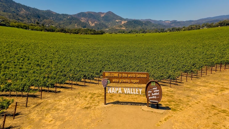 Napa Valley: Die Weine aus den USA zählen zu den besten der Welt.