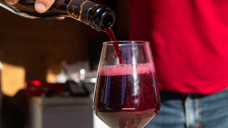 Am Image des Lambrusco wird gerade kräftig gefeilt. Wer im Sommer in Italien unterwegs ist, sollte in Modena einen Stopp einlegen und sich in einer der trendigen Wein-Bars durch das Lambrusco-Angebot trinken.