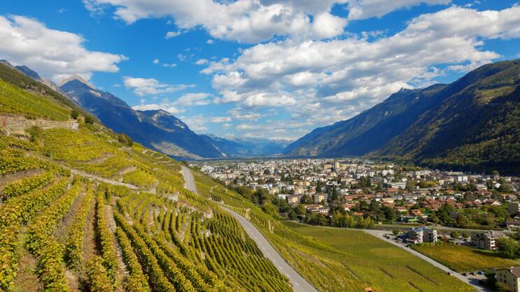 Der Walliser Dôle ist einer der bekanntesten Schweizer Weine. Oberhalb von Martigny gedeiht der Gamay, ein wichtiger Bestandteil der Dôle-Assemblage, besonders gut.