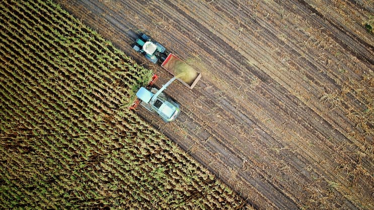 Landwirtschaft_Feld_Bauer