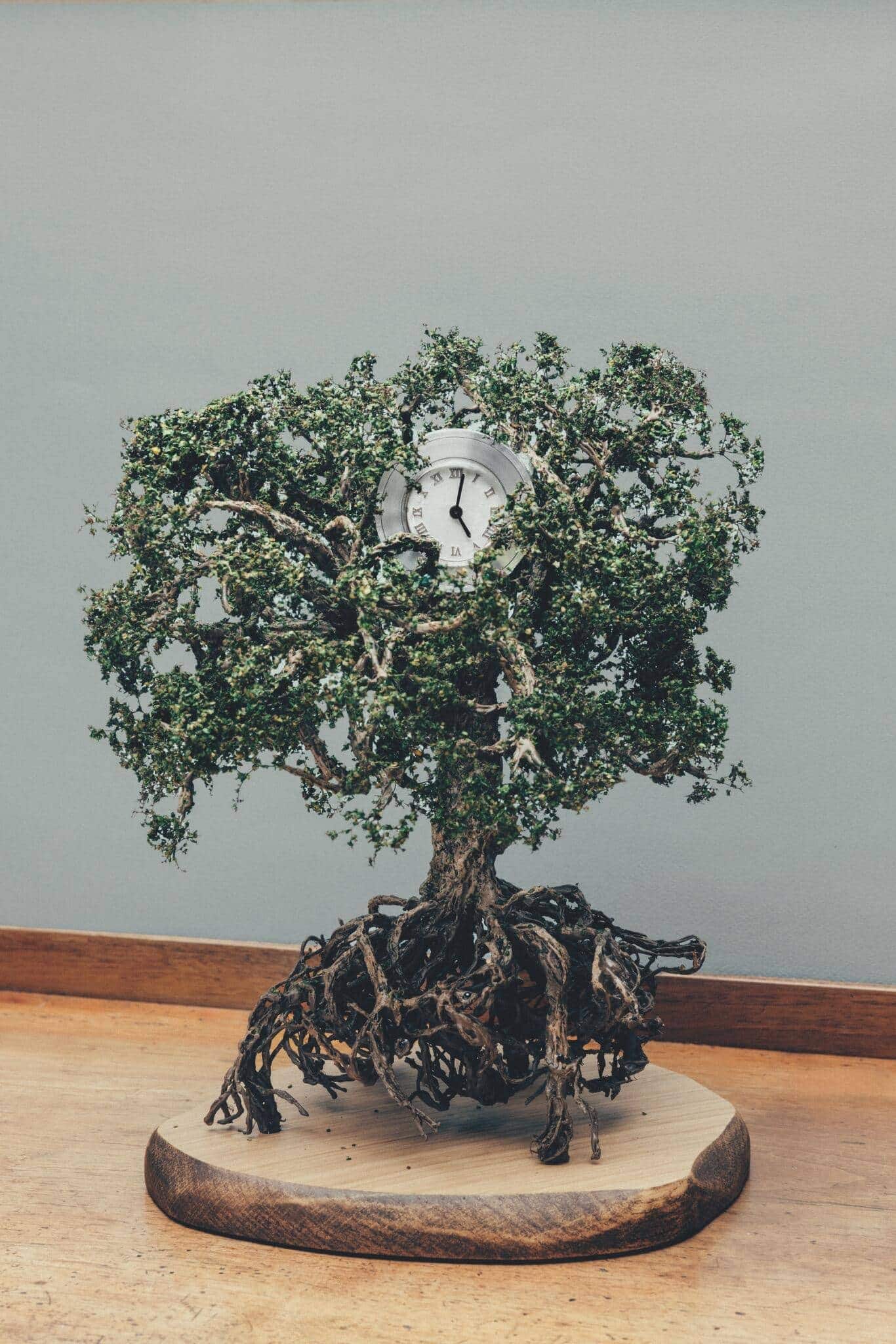 «Tree»