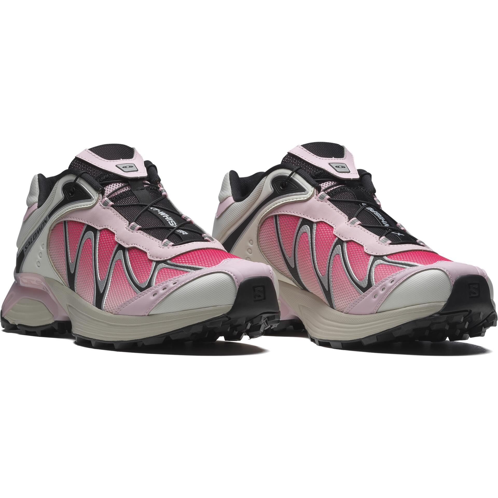 <p>Salomon XT-Whisper, ab 150 Franken</p>