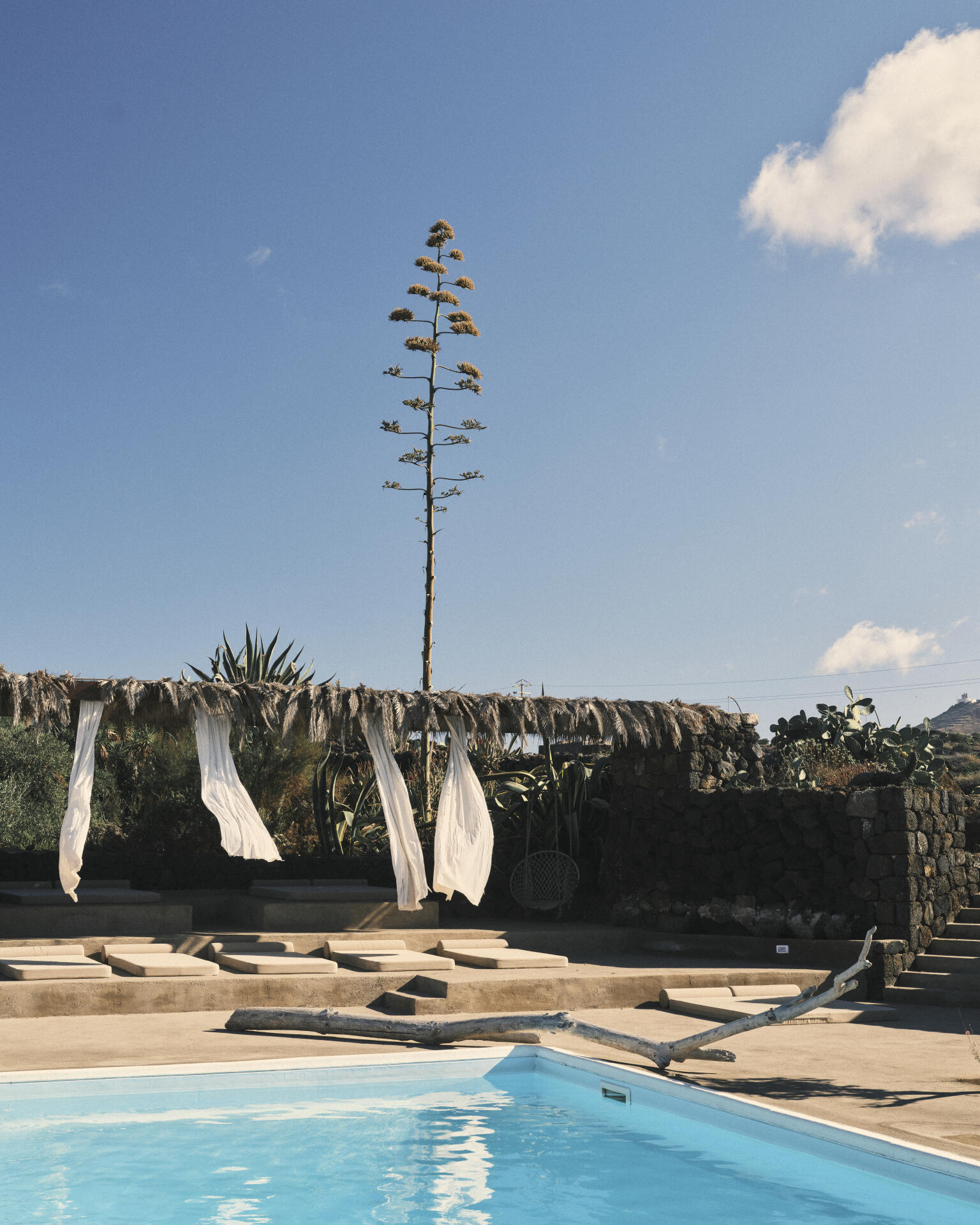 <p>Das Boutique-Hotel Parco di Sesi, ein auf Nachhaltigkeit ausgerichteter landwirtschaftlicher Betrieb im Westen der Insel, lädt regelmässig Künstler ein, auf dem Gelände und in der Umgebung aufzutreten.</p>