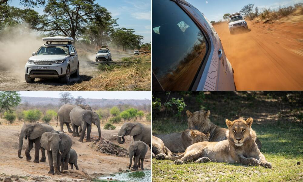 Offroad Afrika Wildnis Outdoor Safari