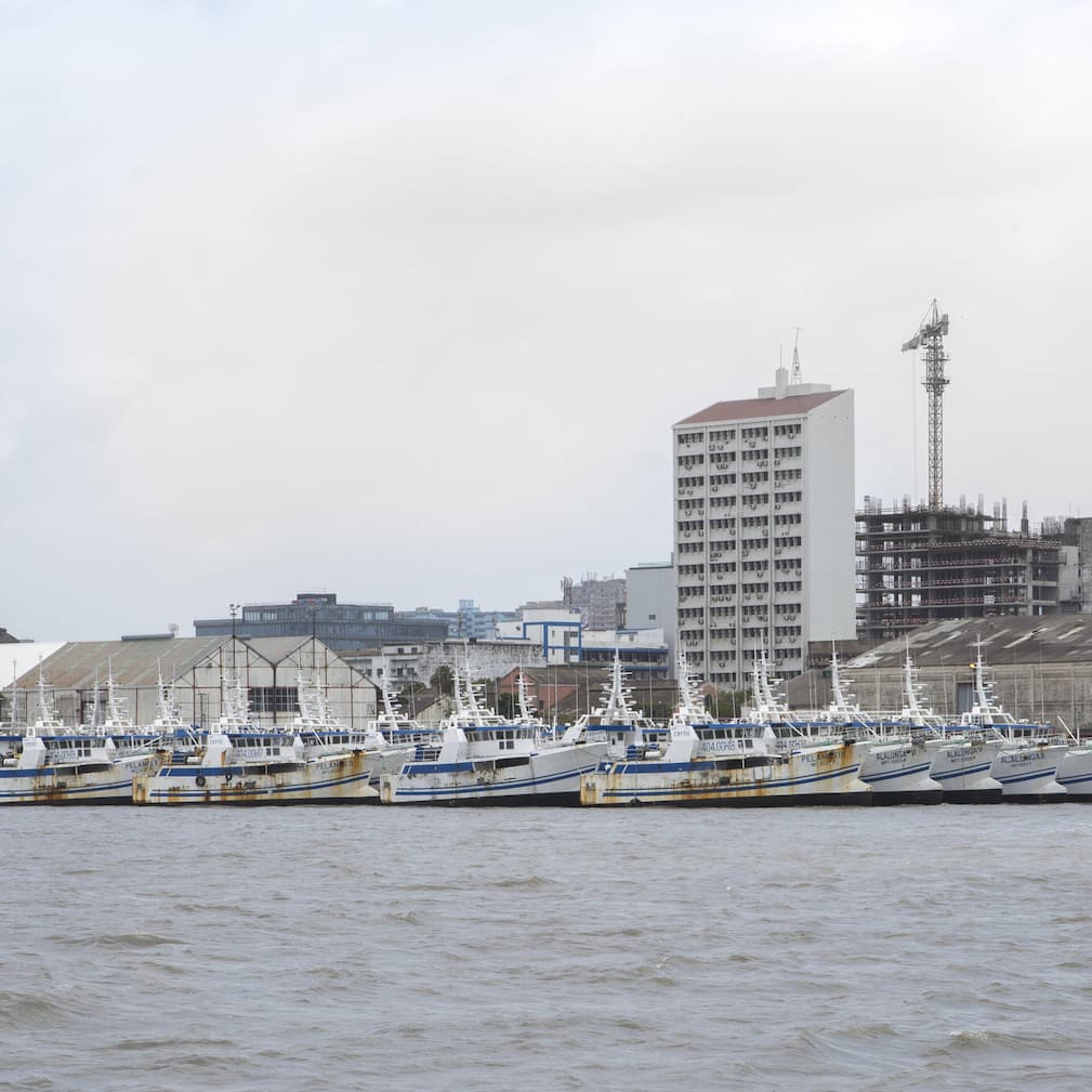 <p>CS-Milliardenkredit für Fisch­fangflotte: Die Schiffe verrosten heute im Hafen von Maputo.</p>
