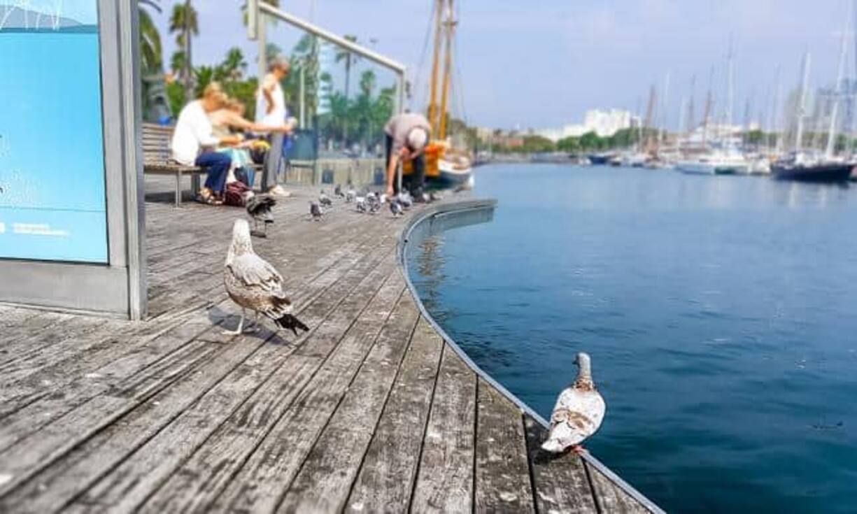 Wo sich Expats besonders wohlfühlen: Das sind die bestklassierten Länder des Rankings von Internations.10. SpanienSonne, Freizeit und Glück sprechen für Spanien. Verbesserungspotenzial hat das Land im Bezug auf die Sicherheit und die Bürokratie.