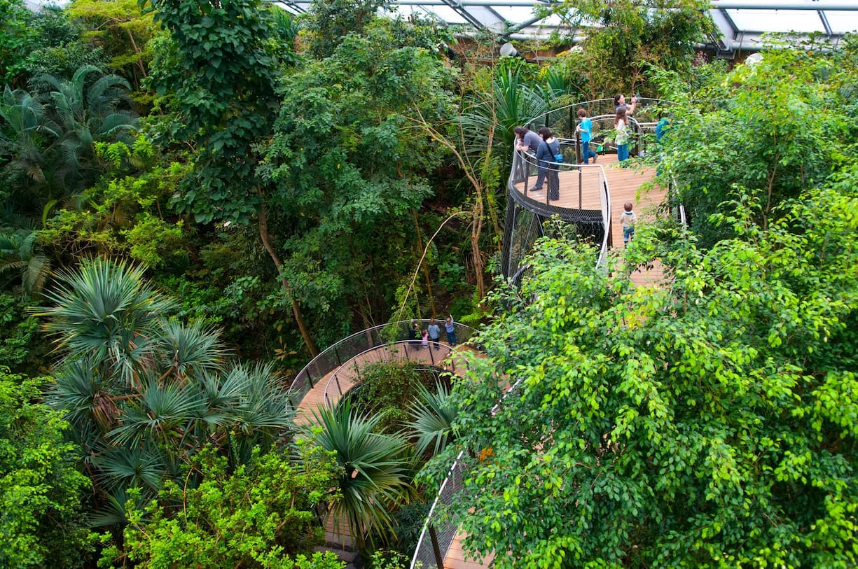 Baumkronenweg im Zoo Zürich