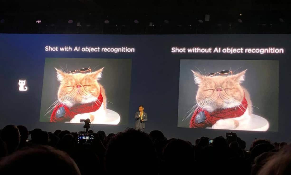 ... Aufnahmen von Katzen oder wahlweise Hunden.