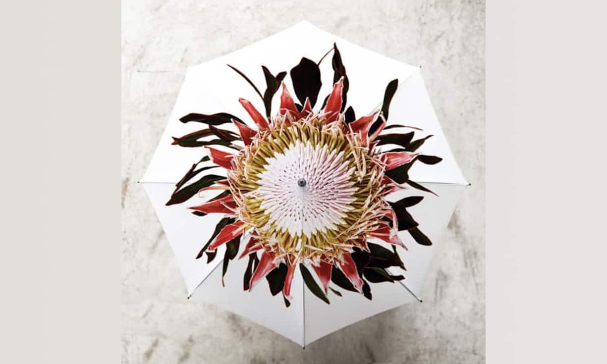 Lichtblick: Clinton FriedmanDas wunderschöne florale Druckmotiv kann zum Lichtblick werden im städtischen Regenschirm-Dschungel. Griff und Stock sind aus Holz. Doppelvernähte Ränder und eine automatische Öffnung sind weitere Extras. Preis 79 Franken.