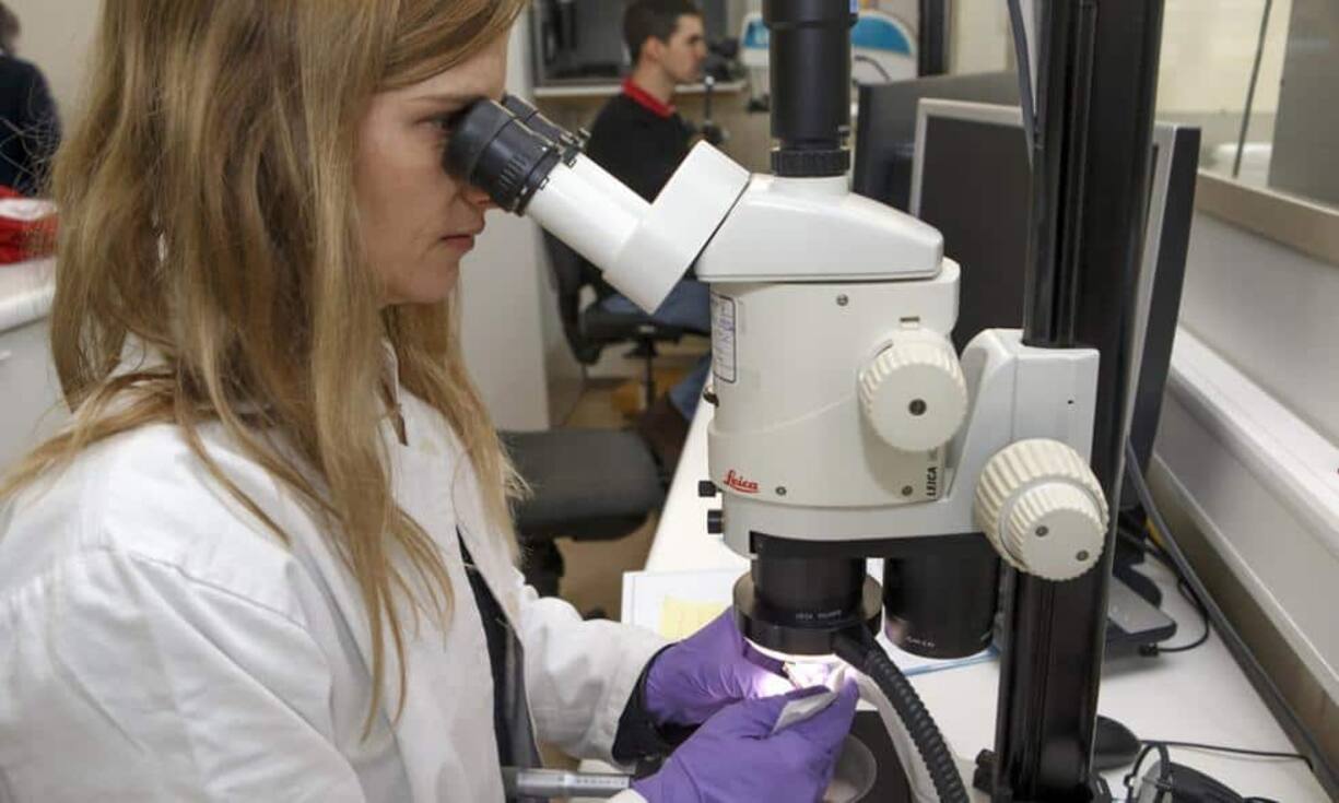 Rang 1: Pharmabranche
Am meisten verdienen Frauen in der Pharmabranche. In der exportstarken Industrie gibt es pro Monat 8873 Franken. Männer verdienen dort 10'491 Franken. Bilder: Keystone, Daten: Schweizerische Lohnstrukturerhebung