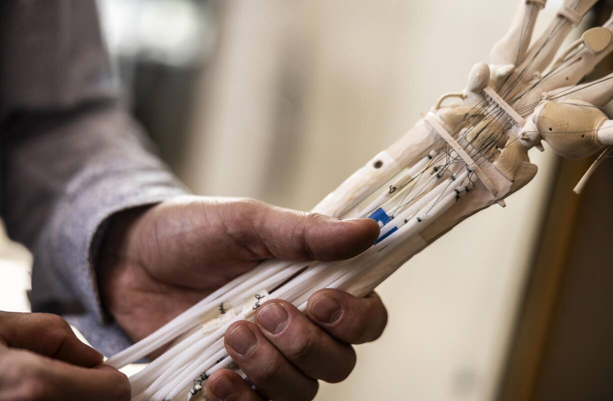 file84xvryoojrds0880nvt