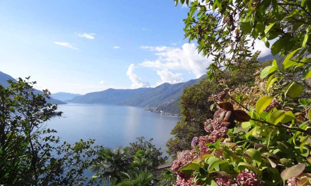Im angelegten Park liegen grosse Terrassen, Pool, Poolhaus und Grill. Die Aussicht auf den Lago-Maggiore lädt zum verweilen ein.