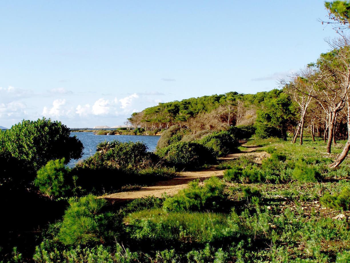 Die Privatinsel liegt im Naturreservat der Stagnone di Marsala.