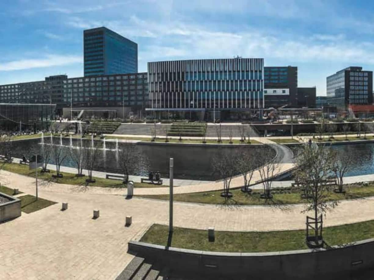 In einem jährlichen Vergleich benennt die «Financial Times» die besten Business Schools der Welt. Dieses Ranking zeigt, wie hoch das Jahresgehalt der Absolventen im Durchschnitt ausfällt:Platz 15Rotterdam School of Management, Erasmus University (Holland): 65'323 Euro (umgerechnet rund 71'400 Franken)