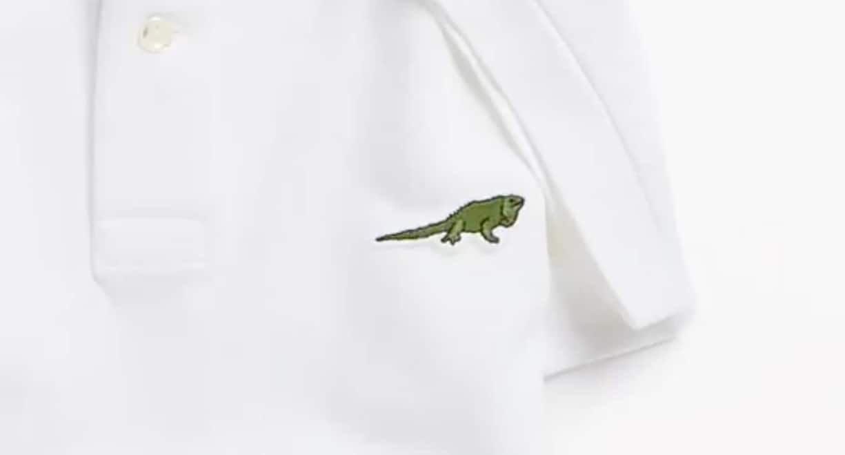 lacoste_zwei.jpg