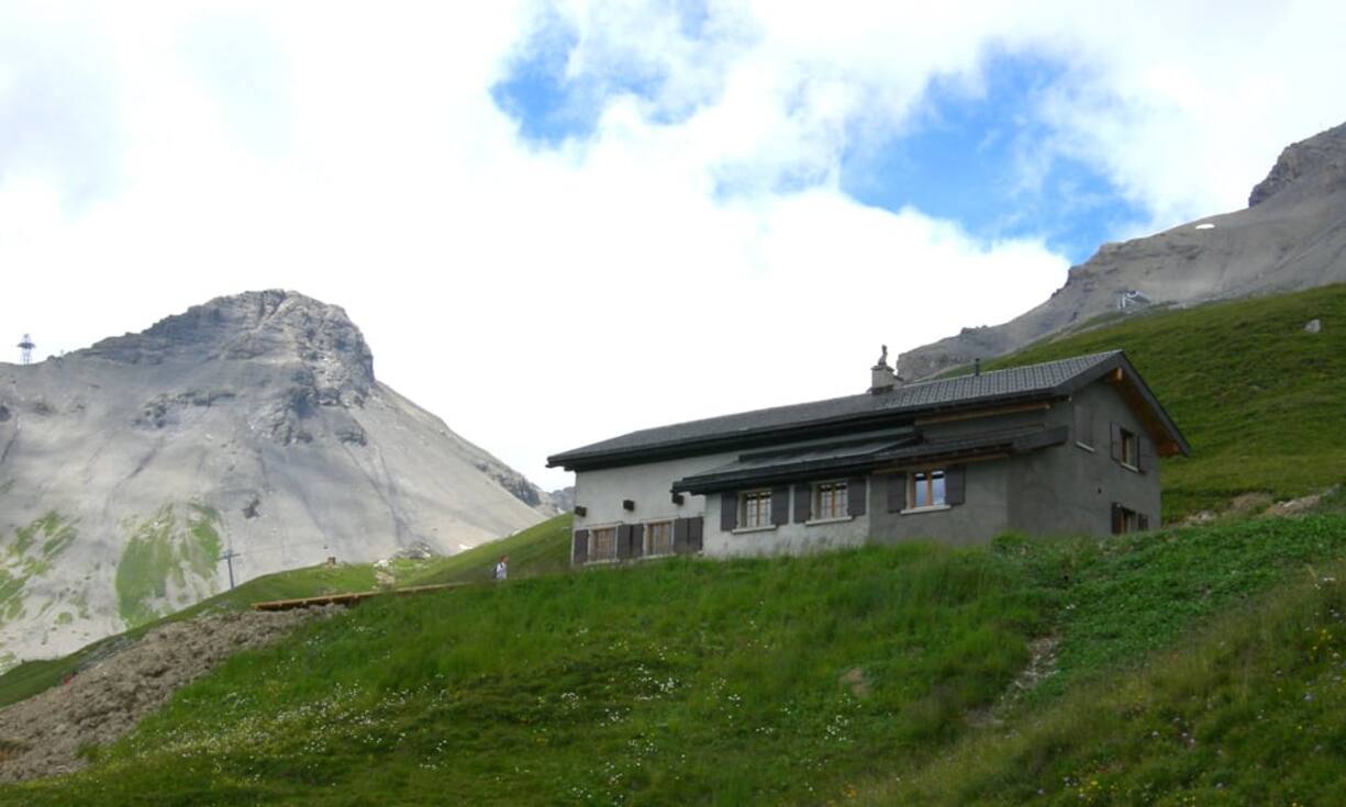 sonnenanbeter-3.jpg