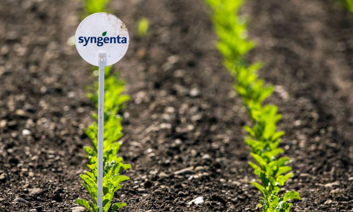 Als weiteren Tiefschlag für Aktionäre und Management musste Syngenta zudem schlechte Geschäftszahlen veröffentlichen. Der starke Dollar, schwierige Bedingungen in Lateinamerika und auch das Spritzmittel Glyphosat führten zu einem Umsatzeinbruch von 11 Prozent auf 10,3 Milliarden Dollar in den ersten neun Monaten 2015.