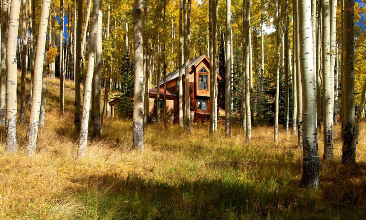 ...und ein 160 Quadratmeter grosses Gästehaus.