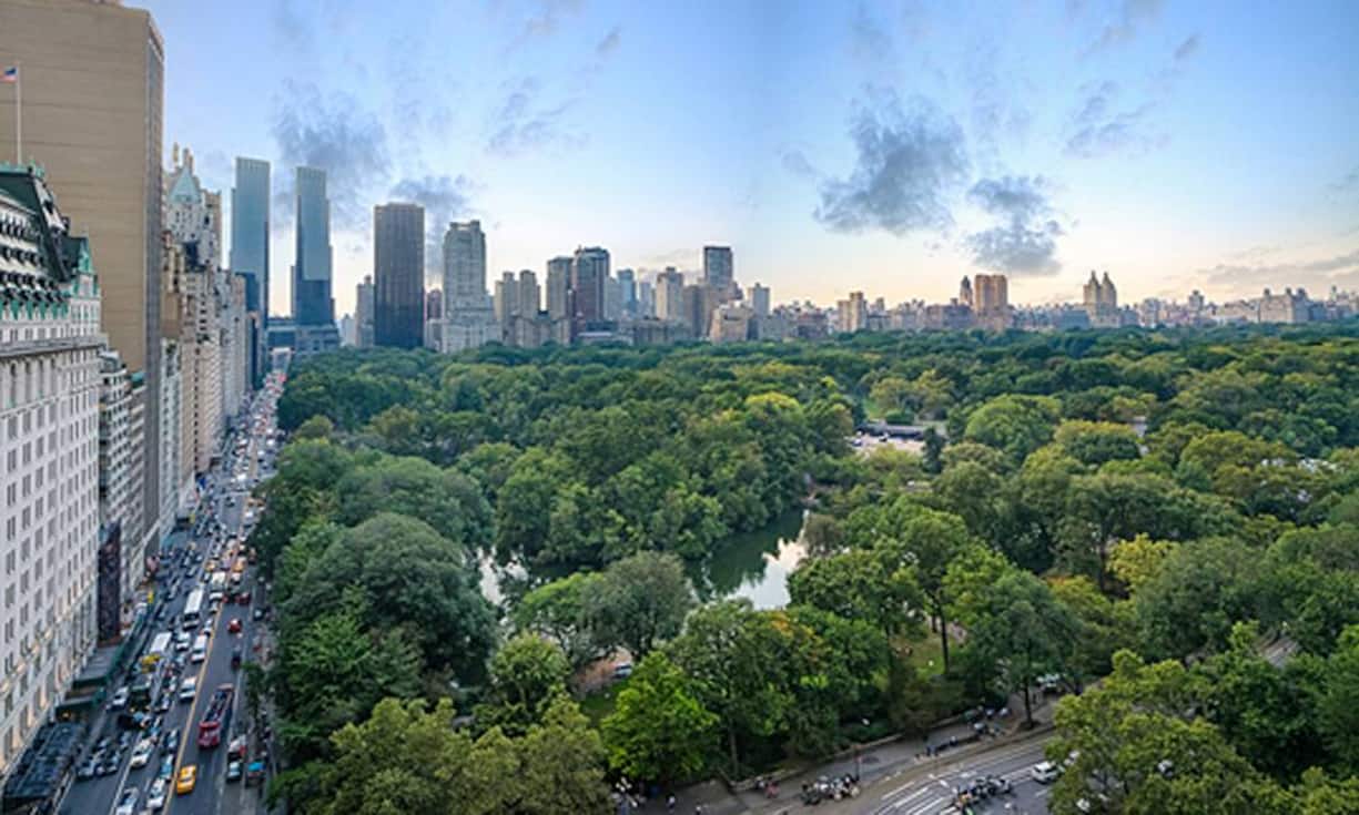 … wie er in den Verkaufsunterlagen schreibt. Fünf Zimmer und eine riesige Terrasse erlauben den direkten Blick auf den Central Park, …