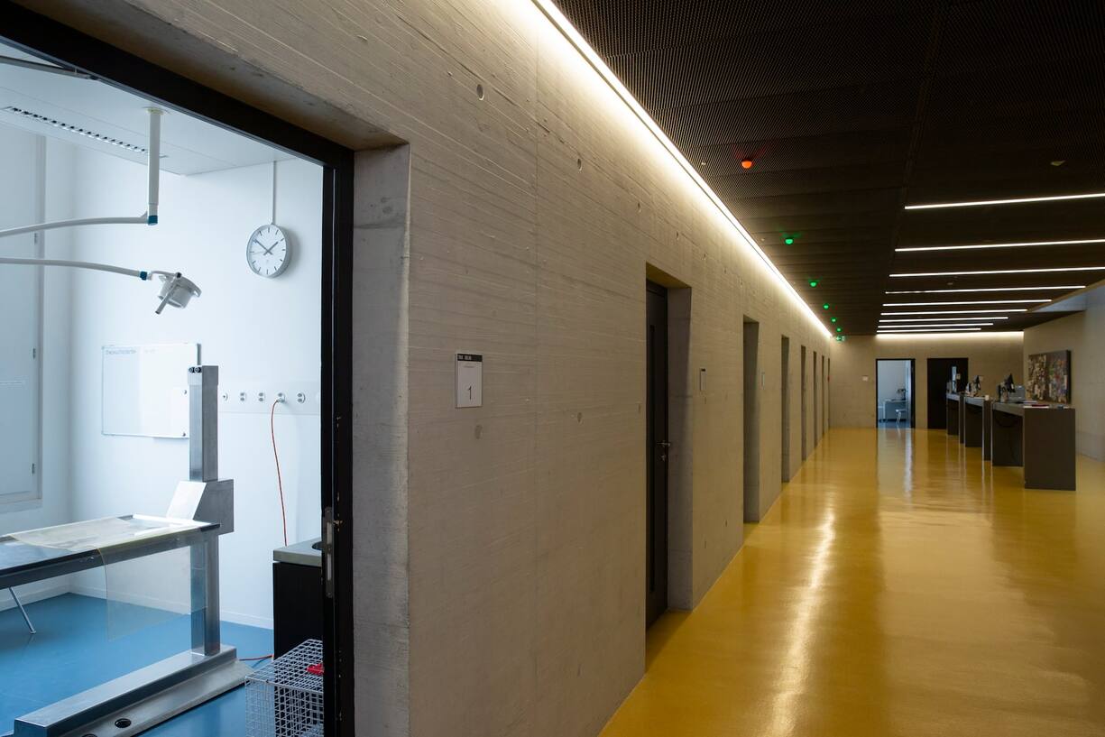 Der Look der Kleintierklinik ist hochmodern und bis ins Detail durchdacht – bis hin zur Farbgebung.
