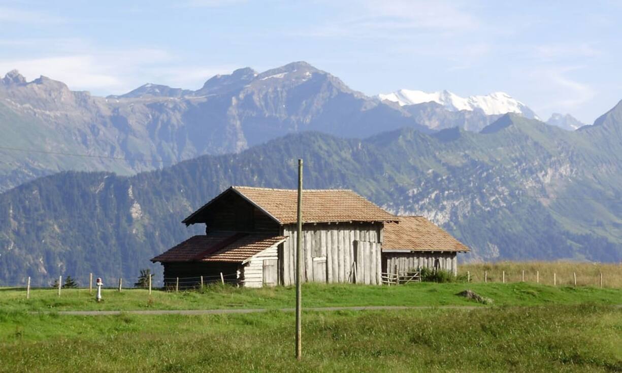 sonnenanbeter-7.jpg