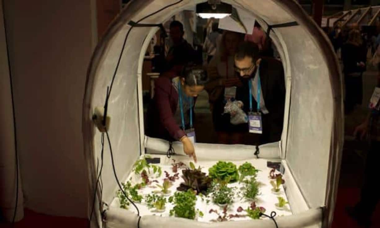 Ein israelisches Startup will an der 4YFN die Living Box an den Mann bringen. Damit sollen selbst Stadtbewohner ohne Balkon ihr Gemüse züchten können. Das Gewächshaus ist zusammenklappbar und wird mit Solarenergie betrieben. Natürlich gibt es auch eine passende App zum 300-Dollar-Spass.