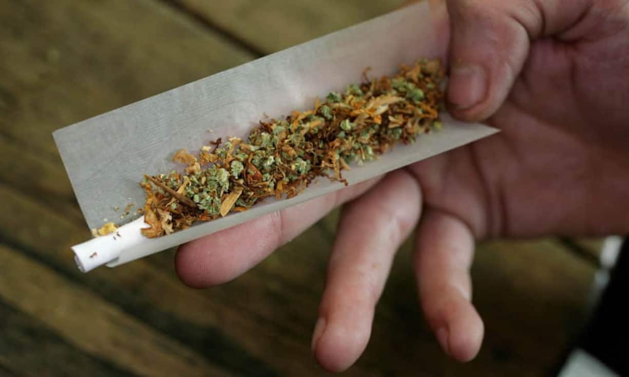 Cannabis wird nach Angaben von Pharmakologen häufig genutzt, um Arbeits-erlebnisse zu verarbeiten. Wahrnehmung und Motorik nehmen auf Dauer Schaden.