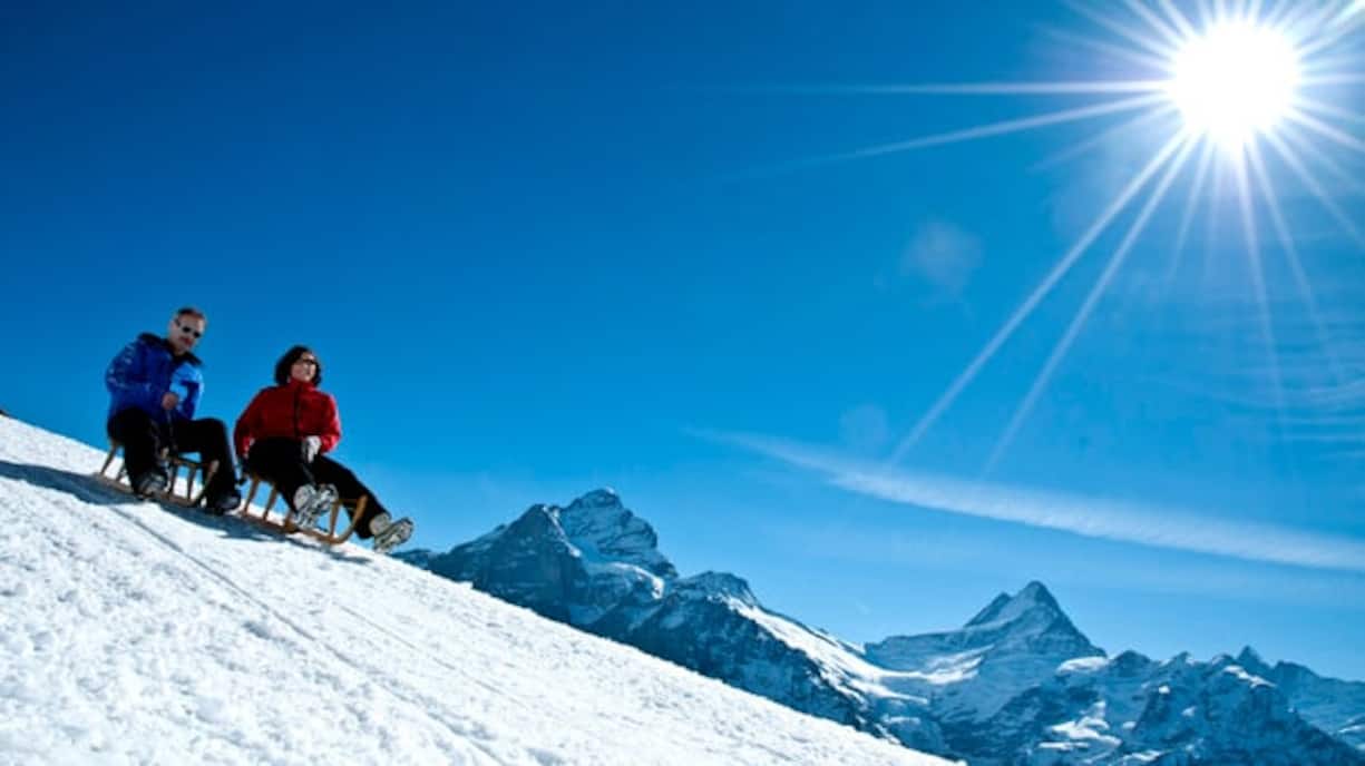 Die längste Schlittelbahn
Umgeben von Eiger, Mönch und Jungfrau ist der «Pintenfritz» die längste Schlittelbahn Europas: Vom Faulhorn bis nach Grindelwald sind es 15 Kilometer und ein Höhenunterschied von 1600 Metern.