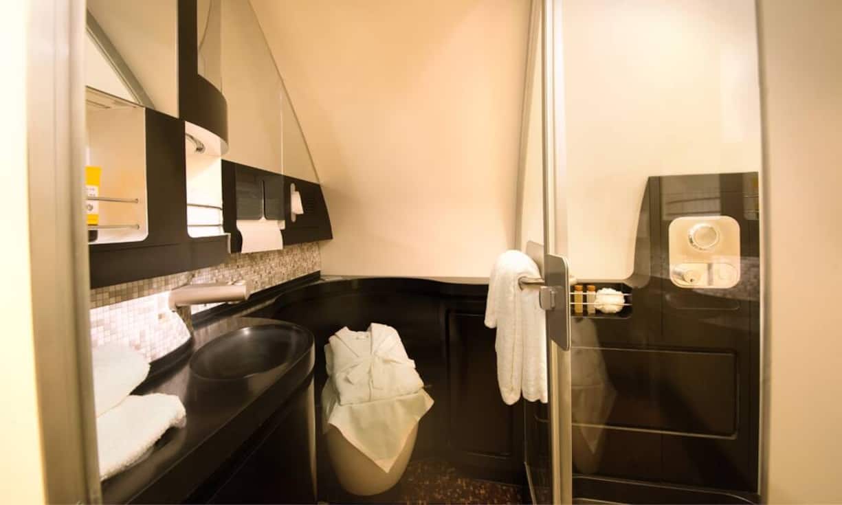 Im eigenen Badezimmer finden die Passagiere der Luxus-Suite eine Überkopfdusche, einen Waschtisch mit Kosmetikspiegel, Pflegeartikel, Haartrockner und Bademantel.