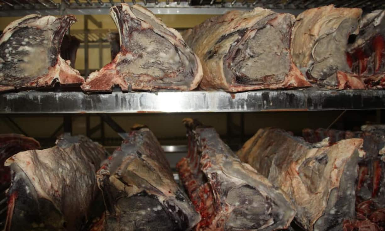 Im Kühlraum herrscht ein waldig-pilziger Geschmack. Es erinnert an einen Morchelwald.