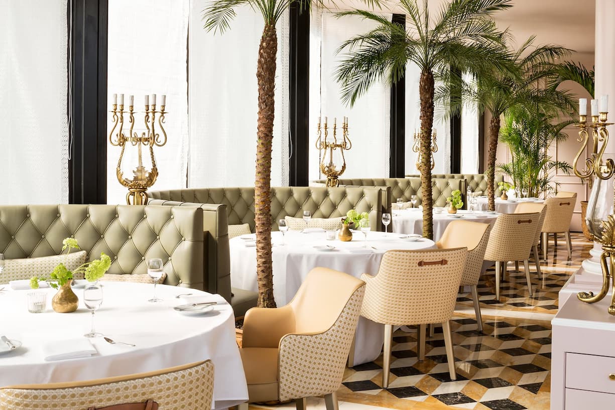 VJC, Victoria Jungfrau SPA