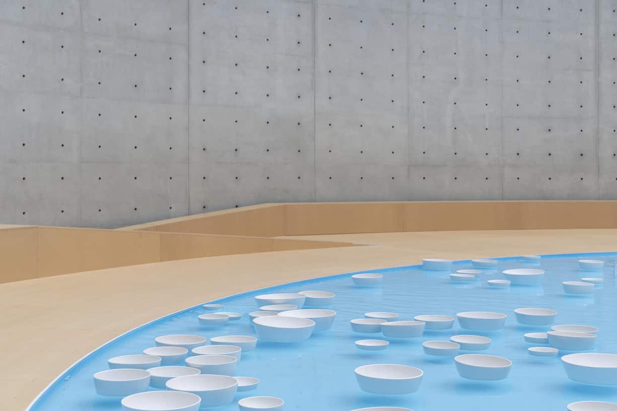 Céleste Boursier-Mougenot