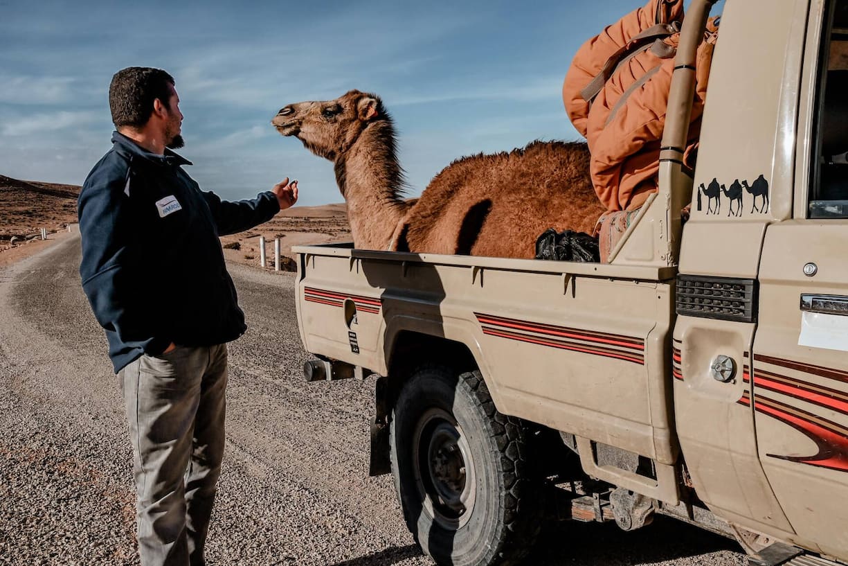 Der Toyota-Pick-up ist, je näher man der Wüste kommt, das Standardfahrzeug – da passen auch Kamele rein.