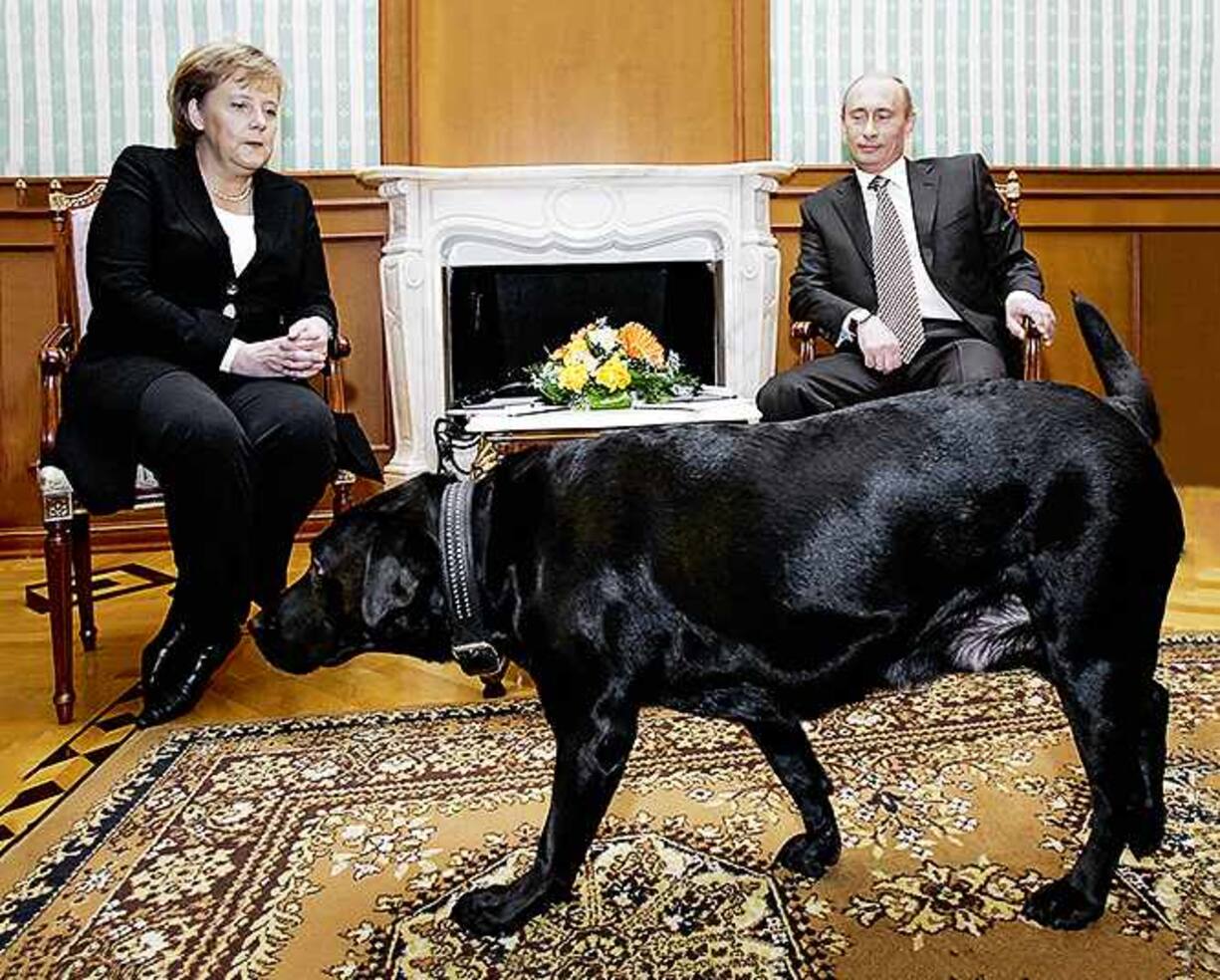 Russian President Vladimir Putin (R) and German Chancellor Angela Merkel are watched by Putin's dog Koni as they address journalists after their working meeting at the Bocharov Ruchei residence in Sochi, 21 January 2007. German Chancellor Angela Merkel arrived here for talks with President Vladimir Putin expected to focus on securing guarantees for energy supplies to the European Union, a Kremlin official said. AFP PHOTO / PRESIDENTIAL PRESS SERVICE / ITAR-TASS (Photo by DMITRY ASTAKHOV / ITAR-TASS / AFP)