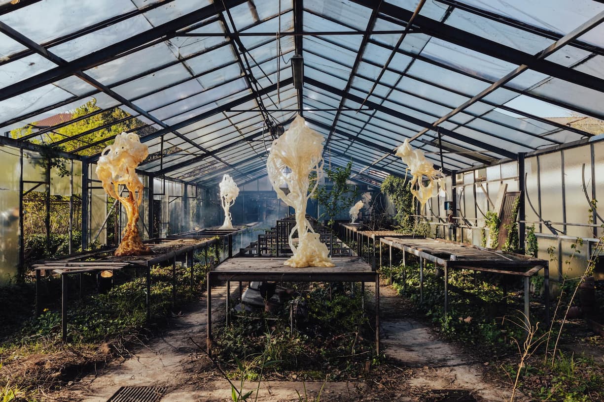 Alcova: «Ghost Orchid» hiess die immersive Installation mit 3D-gedruckten Skulpturen vom polnischen Künstler Marcin Rusak.